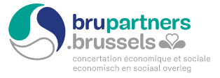 Logo Brupartners